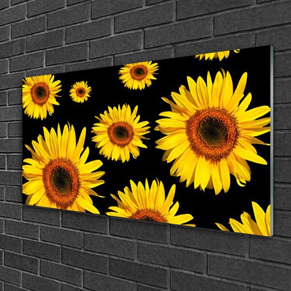 Quadro vetro Girasoli Natura Pianta 100x50 cm 2 appendini