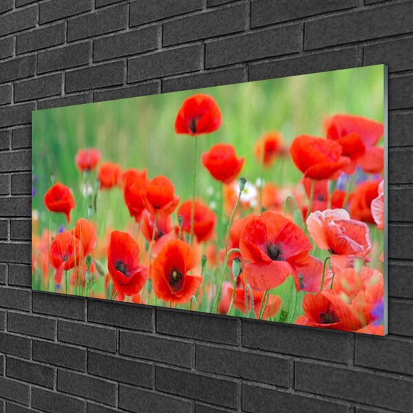 Quadro di vetro Papaveri Pianta Naturale 100x50 cm 2 appendini