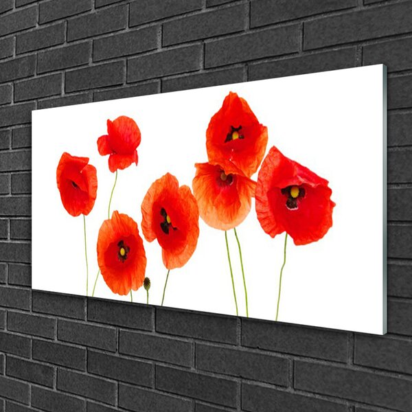 Quadro vetro Papaveri Pianta Naturale 100x50 cm 2 appendini