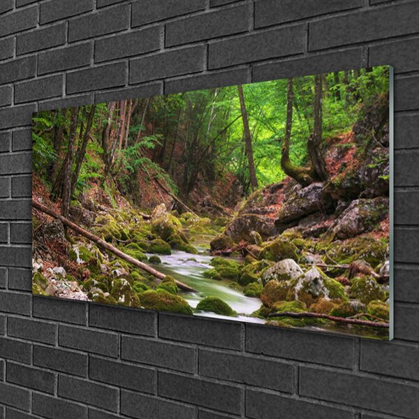 Quadro in vetro Foresta Muschio Natura 100x50 cm 2 appendini