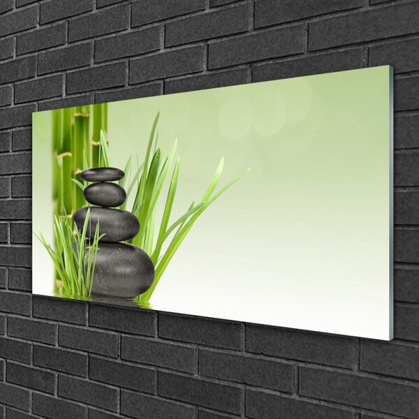 Quadro in vetro Pianta di erba di bambù Natura 100x50 cm 2 appendini