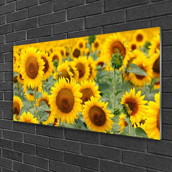 Quadro in vetro Girasoli Natura Pianta 100x50 cm 2 appendini