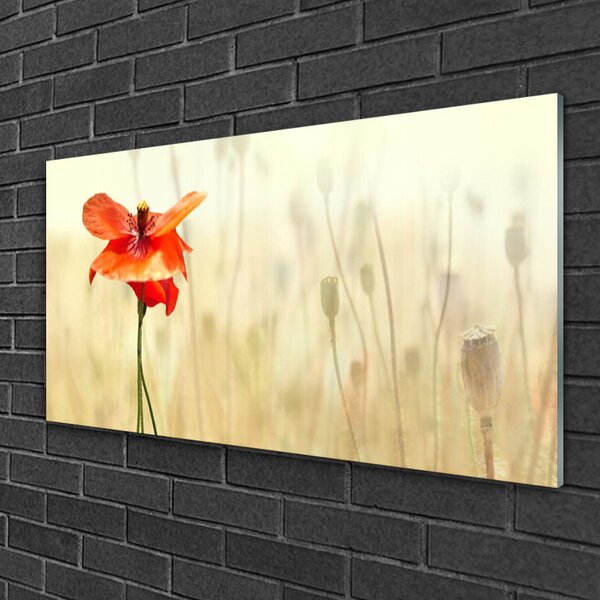 Quadro in vetro Papaveri Pianta Naturale 100x50 cm 2 appendini
