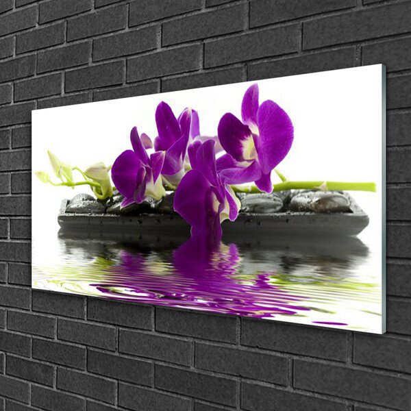 Quadro su vetro Fiori Pianta naturale 100x50 cm 2 appendini