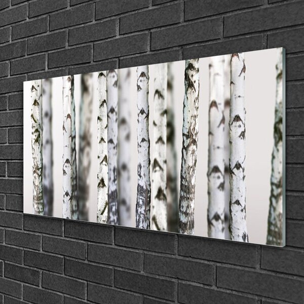 Quadro su vetro Alberi della natura 100x50 cm 2 appendini