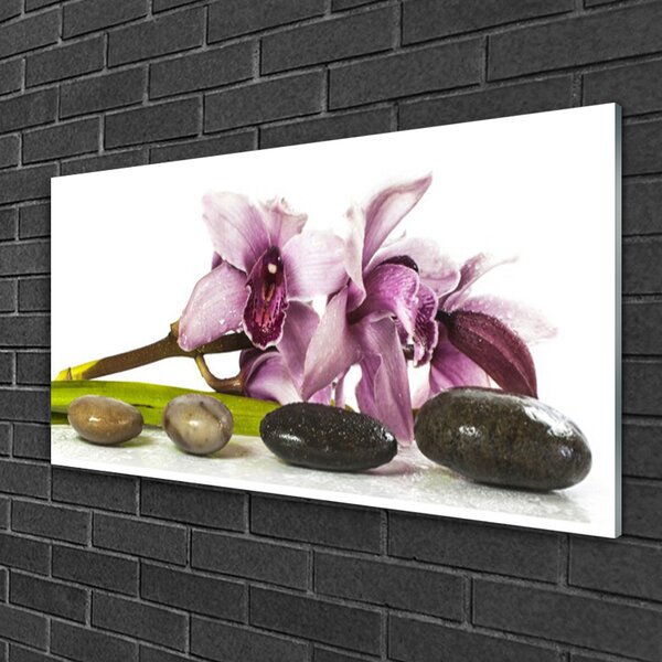 Quadro in vetro Pietre da fiore Pianta 100x50 cm 2 appendini