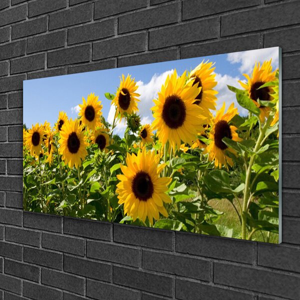 Quadro di vetro Pianta di girasole 100x50 cm 2 appendini