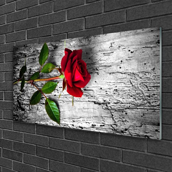 Quadro vetro Fiore di rosa pianta naturale 100x50 cm