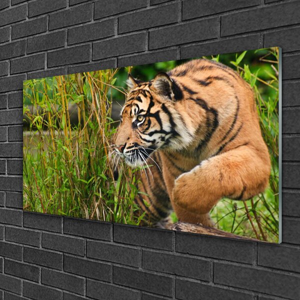 Quadro su vetro Animali tigre 100x50 cm 2 appendini