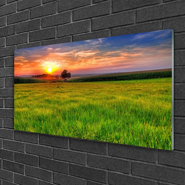 Quadro di vetro Prato Sole Natura 100x50 cm 2 appendini