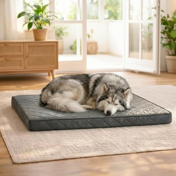 Materassino ortopedico per cani Belviona, realizzato in memory foam con rivestimento removibile, facile da pulire e antiscivolo, dimensioni 118x80 cm, colore grigio