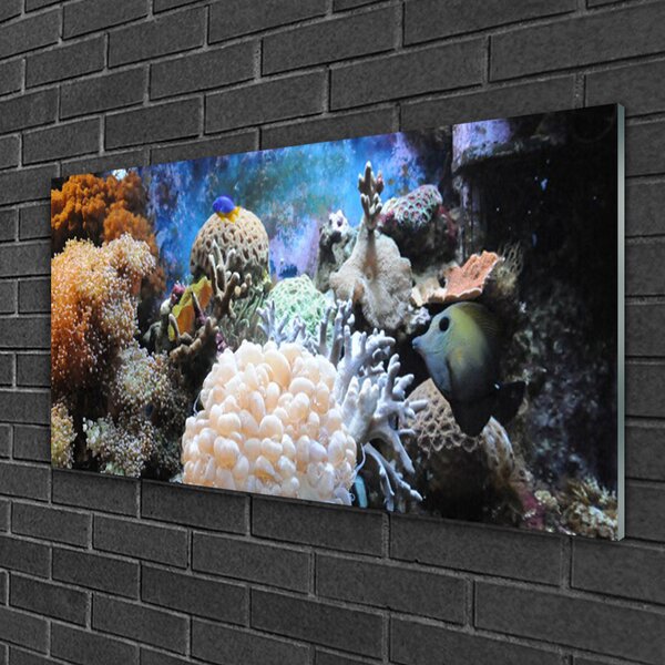 Quadro vetro Natura della barriera corallina 100x50 cm 2 appendini
