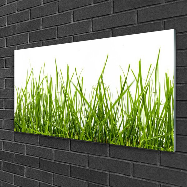 Quadro in vetro Erba Natura Pianta 100x50 cm 2 appendini