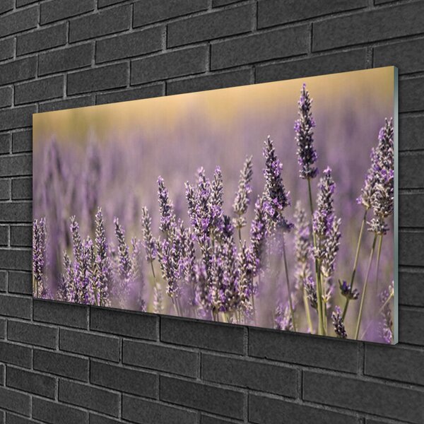 Quadro in vetro Fiori Pianta naturale 100x50 cm 2 appendini