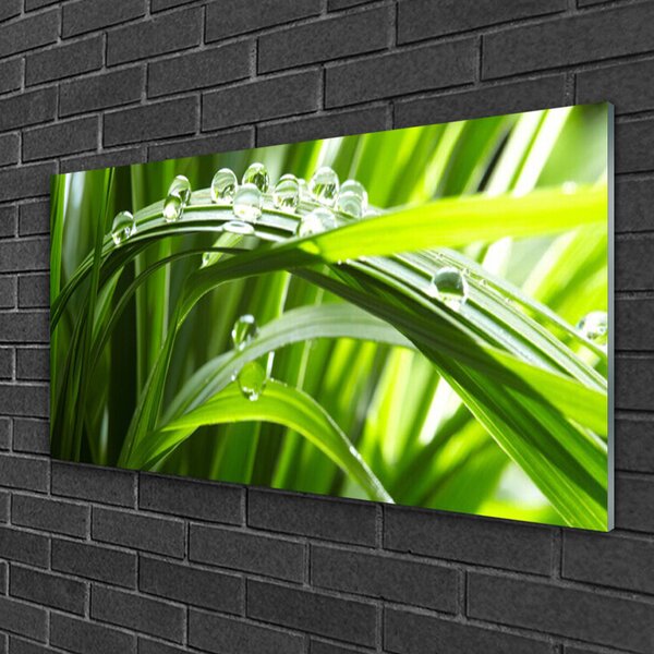 Quadro in vetro Erba Gocce d'acqua Natura 100x50 cm 2 appendini