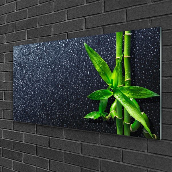 Quadro su vetro Pianta di bambù Natura 100x50 cm 2 appendini