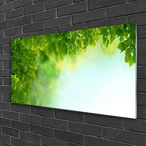 Quadro su vetro Foglie Natura Pianta 100x50 cm 2 appendini