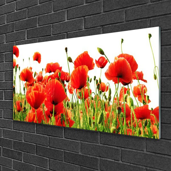 Quadro in vetro Papaveri Pianta Naturale 100x50 cm 2 appendini