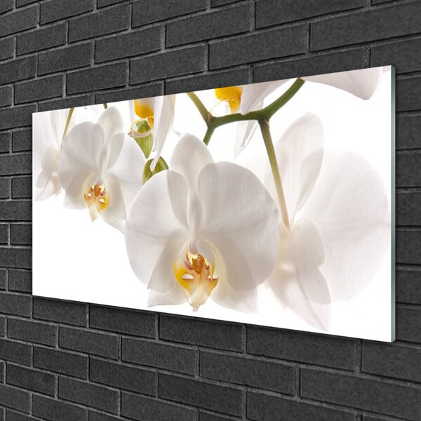 Quadro di vetro Fiori Pianta Natura 100x50 cm 2 appendini