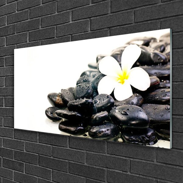 Quadro vetro Fiori Pietre Arte 100x50 cm 2 appendini