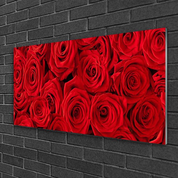 Quadro vetro Rose Fiori Pianta 100x50 cm 2 appendini