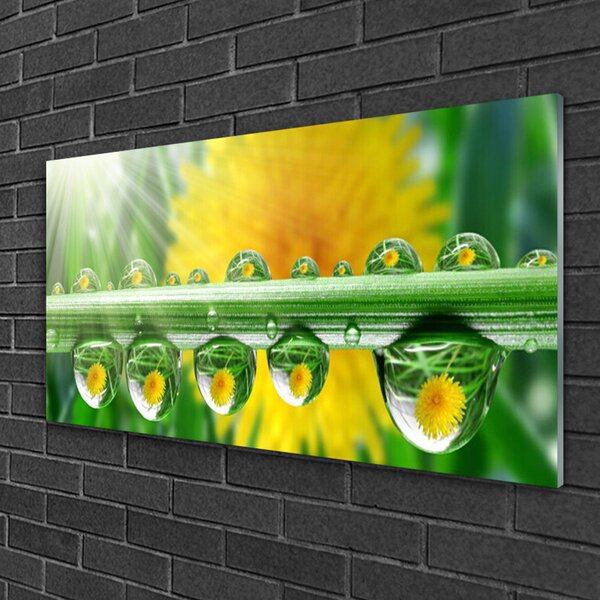 Quadro in vetro Gocce di stelo della pianta di Rosa 100x50 cm 2 appendini