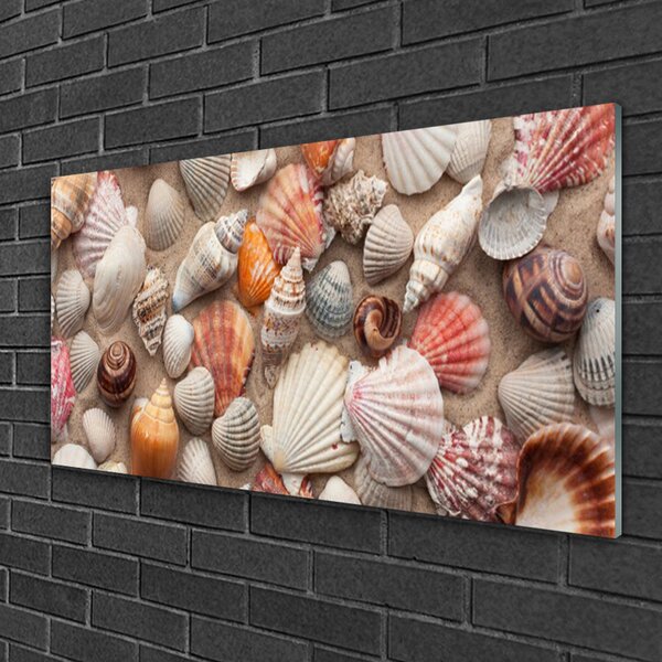 Quadro vetro Arte della sabbia con i molluschi 100x50 cm 2 appendini