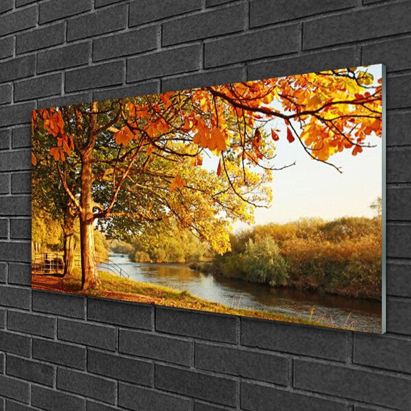 Quadro vetro Albero Lago Natura 100x50 cm 2 appendini