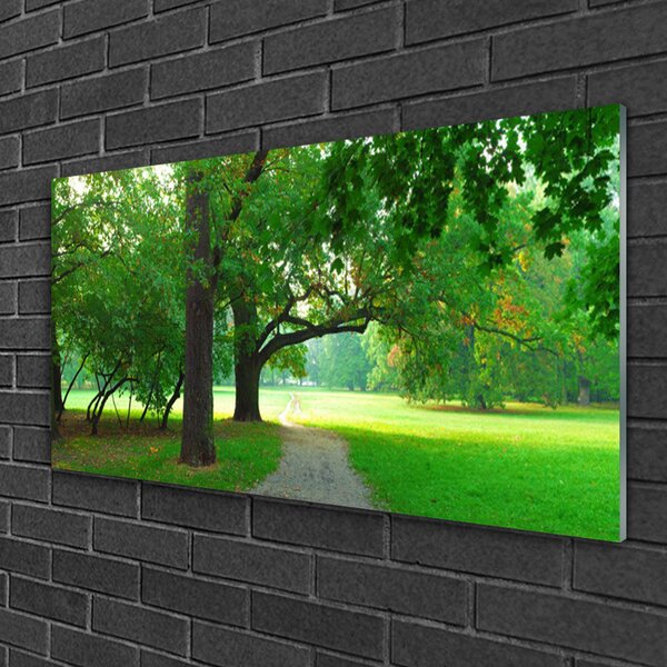 Quadro di vetro Sentiero degli alberi della natura 100x50 cm 2 appendini
