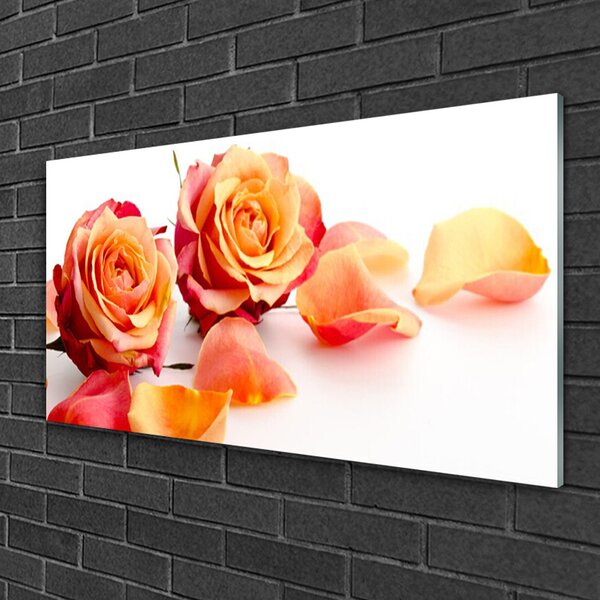 Quadro vetro Rose Fiori Pianta 100x50 cm 2 appendini