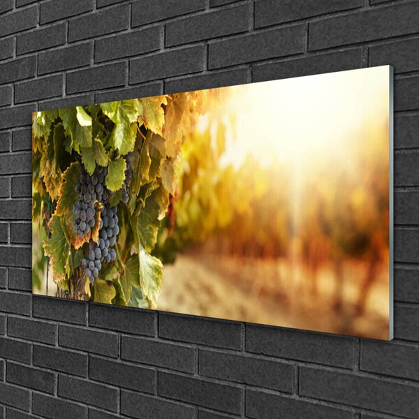 Quadro in vetro Cucina Foglie d'Uva 100x50 cm 2 appendini