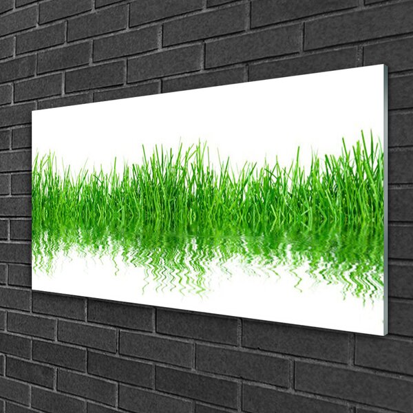 Quadro vetro Erba Pianta Natura 100x50 cm 2 appendini
