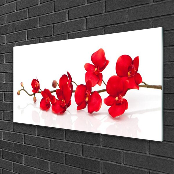 Quadro di vetro Fiori Pianta Natura 100x50 cm 2 appendini