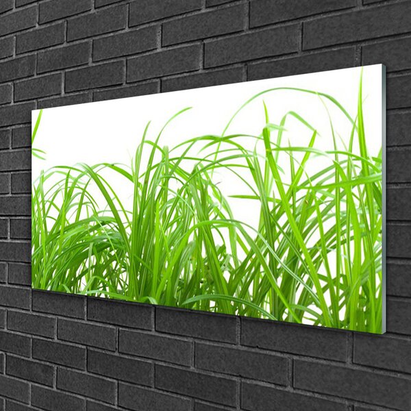 Quadro di vetro Erba Pianta Natura 100x50 cm 2 appendini