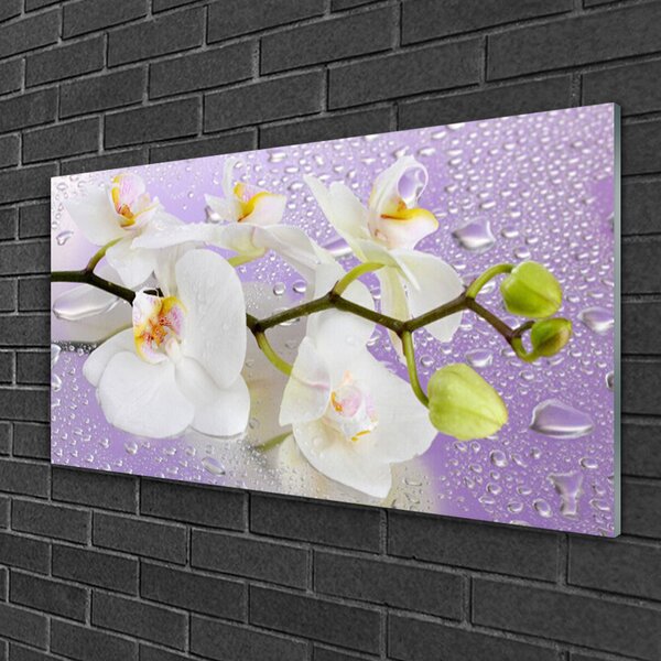 Quadro in vetro Fiori Pianta naturale 100x50 cm 2 appendini