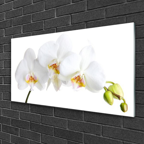 Quadro vetro Fiori Pianta naturale 100x50 cm 2 appendini