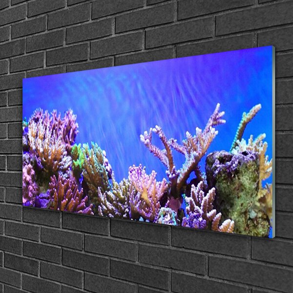 Quadro in vetro Natura della barriera corallina 100x50 cm 2 appendini