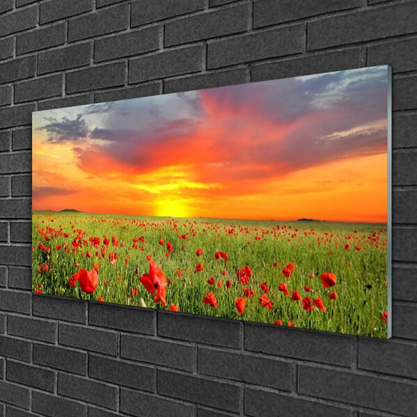 Quadro in vetro Papaveri Sole Pianta Natura 100x50 cm 2 appendini