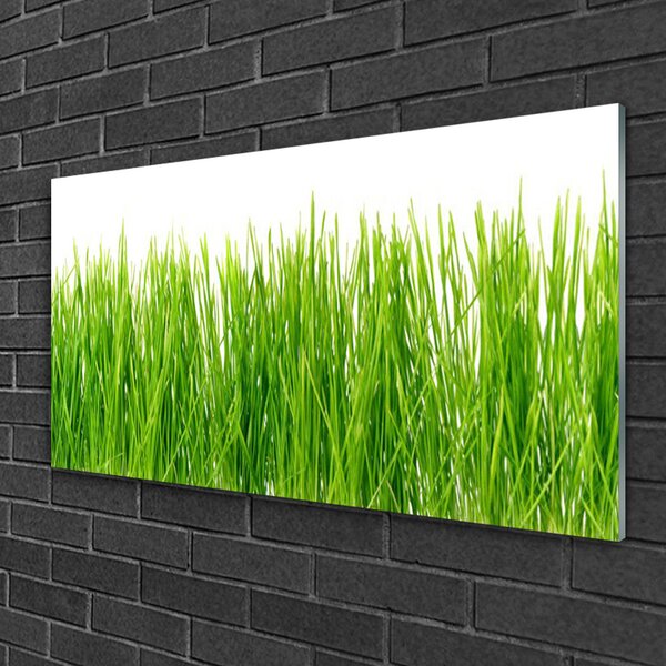 Quadro in vetro Erba Pianta Natura 100x50 cm 2 appendini