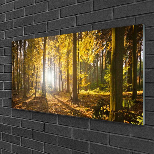 Quadro in vetro Foresta Foglie Pianta Natura 100x50 cm 2 appendini