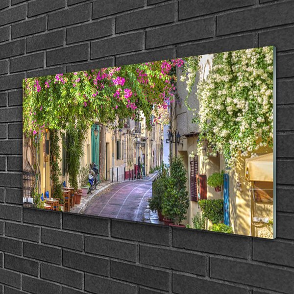 Quadro di vetro Vicolo Fiori Case Pianta 100x50 cm 2 appendini