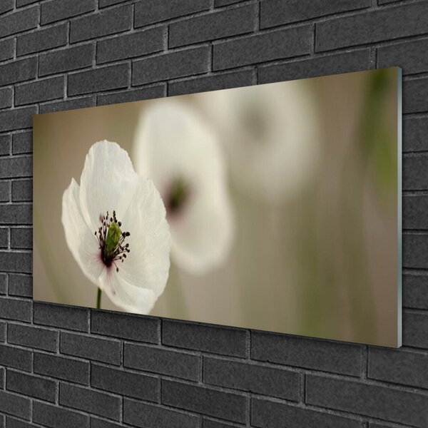 Quadro su vetro Fiore Pianta naturale 100x50 cm 2 appendini