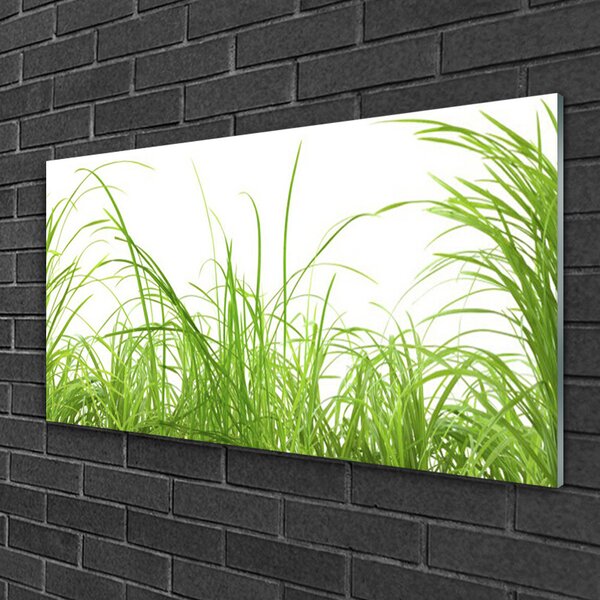 Quadro su vetro Erba Pianta Natura 100x50 cm 2 appendini