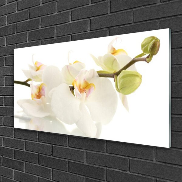 Quadro in vetro Fiori Pianta naturale 100x50 cm 2 appendini