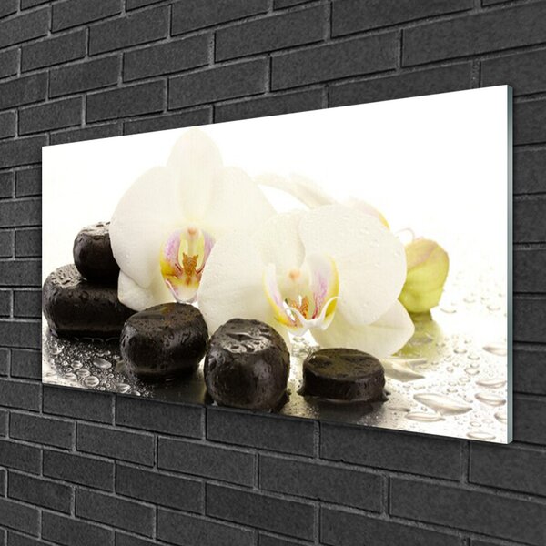 Quadro vetro Pietre fiorite Arte 100x50 cm 2 appendini