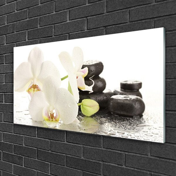 Quadro di vetro Pietre da fiore Pianta 100x50 cm 2 appendini