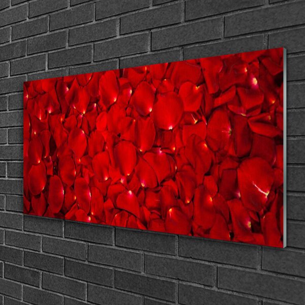 Quadro di vetro Petali Pianta Natura 100x50 cm 2 appendini