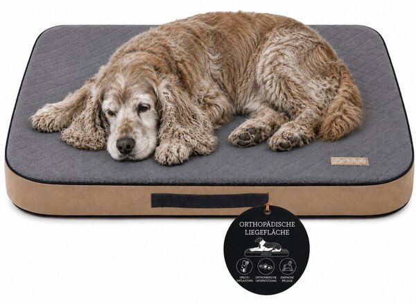 DOTTY Materasso ortopedico per cani, dimensioni 90 x 60 cm, cuccia lavabile realizzata in schiuma viscoelastica, Standard 100
