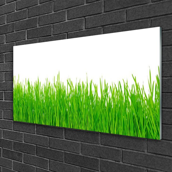 Quadro vetro Erba Pianta Natura 100x50 cm 2 appendini