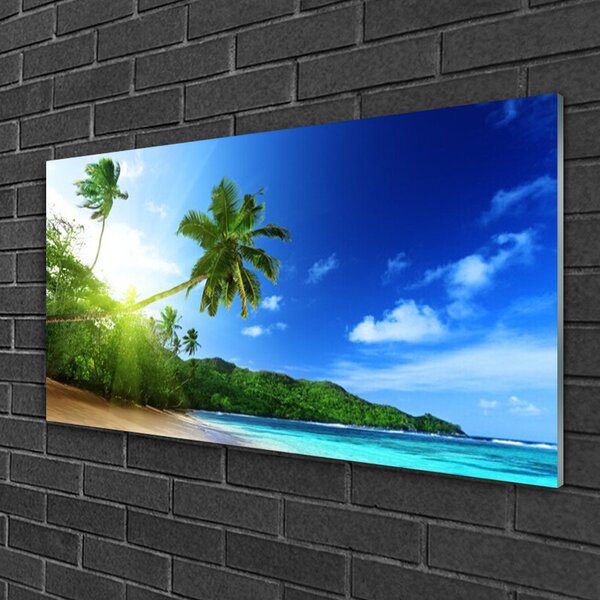 Quadro su vetro Spiaggia Mare Palma Paesaggio 100x50 cm 2 appendini